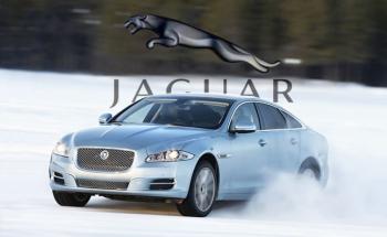 Есть ли проблемы у американского любимца JAGUAR Есть ли проблемы у американского любимца JAGUAR
