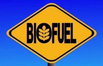 биотопливо из кукурузы