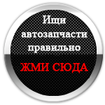 zap-online.ru/search.php